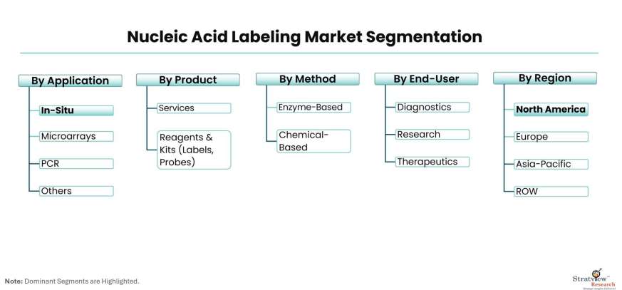Nucleic-Acid-Labelling-Market-Segmentation